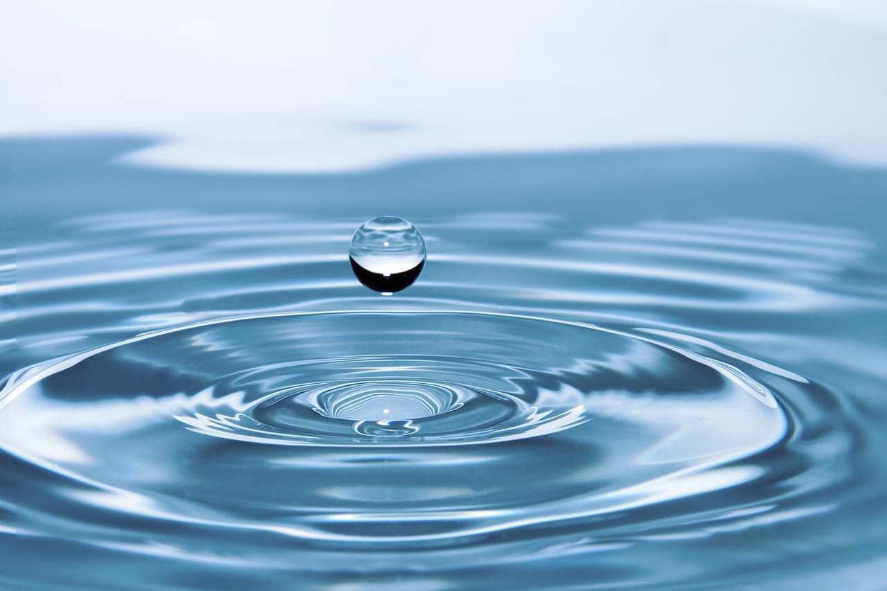 Finnova conmemora la Semana Mundial del Agua 2023 promoviendo la Economía Azul