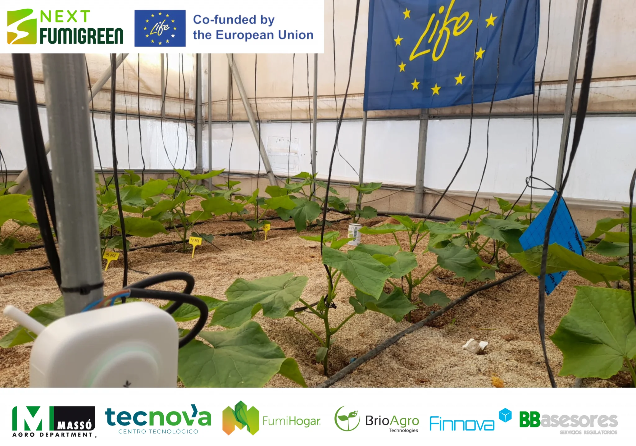 Preliminary trials preliminares del proyecto LIFE NextFUMIGREEN en el Centro Experimental Tecnova