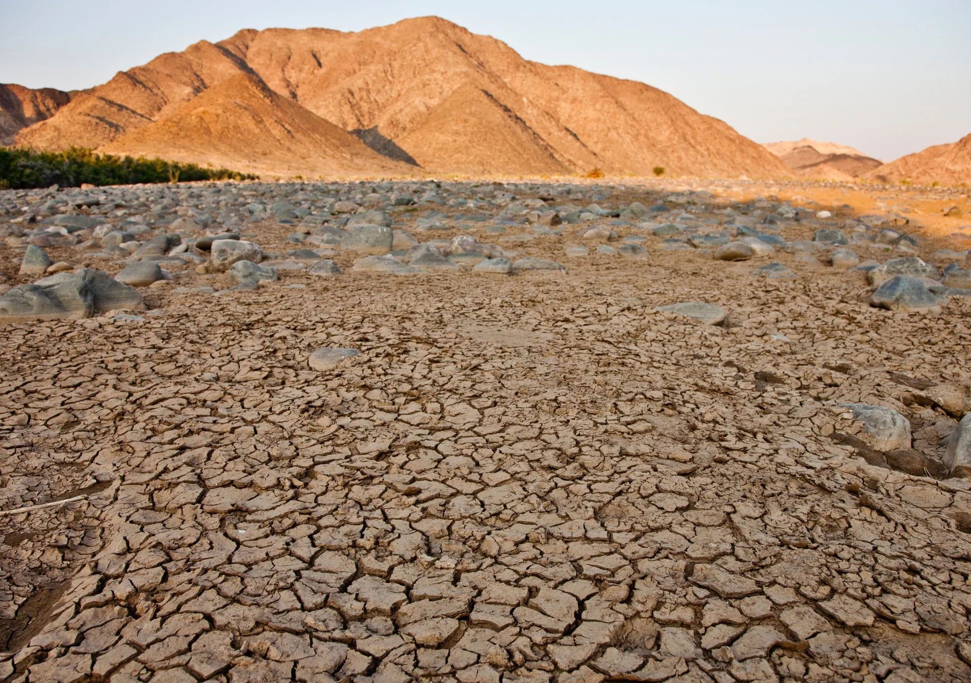 Finnova Foundation aligns with the International Day against Climate Change
